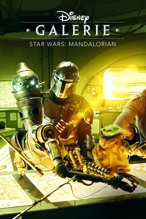 Image Disney Galerie - Star Wars: Mandalorian