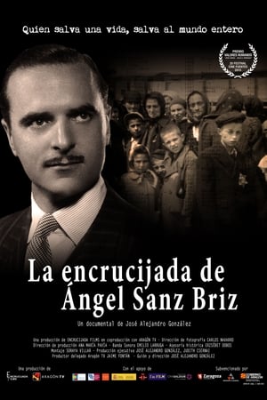 La encrucijada de Ángel Sanz Briz (2015)