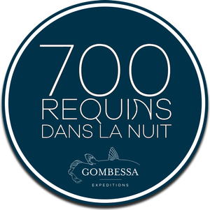 700 Tiburones — Logos 1