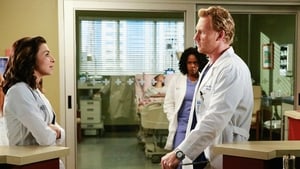 Grey’s Anatomy: Season 11 Episode 20