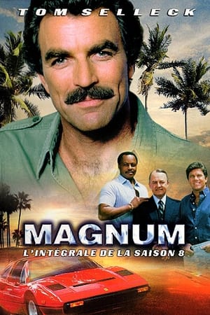 Magnum - Saison 8 - poster n°3