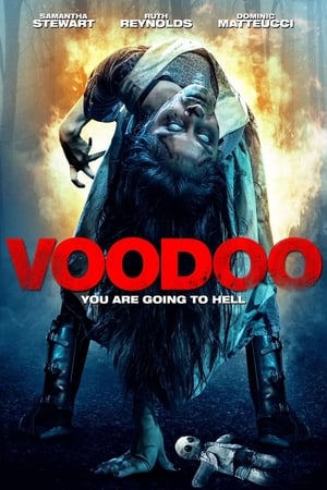 Poster VooDoo 2017