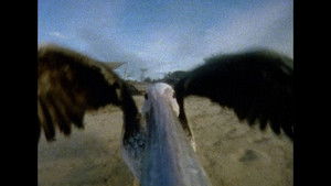 Spectator Online En Netflix