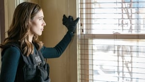 Chicago P.D. 5 x Episodio 11