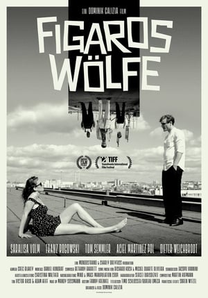 Figaro's Wolves poster