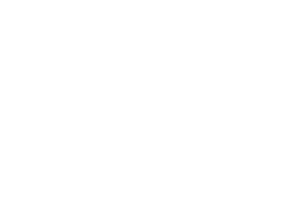 눈동자