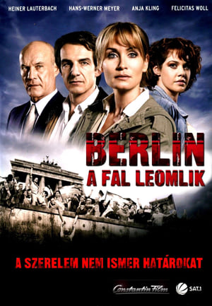 Image Berlin: A fal leomlik