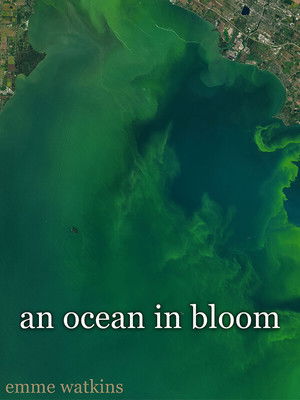 An Ocean in Bloom