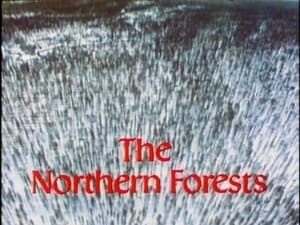 The Living Planet The Northern Forests