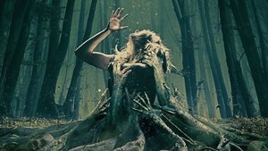 Ver Pelicula El bosque de los suicidios (2016) Online