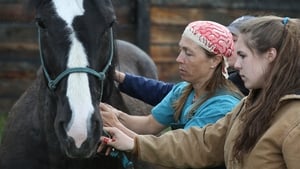 Dr. Oakley, Yukon Vet Bear Brawl