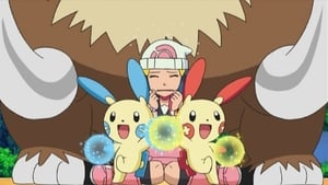 Pokémon Season 13 :Episode 4  The Curtain Rises! Pokémon Contest: Asatsuki Tournament!!