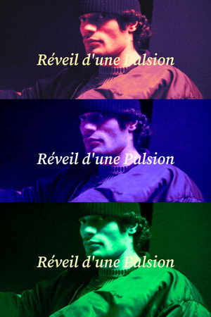 Réveil d'une Pulsion poster