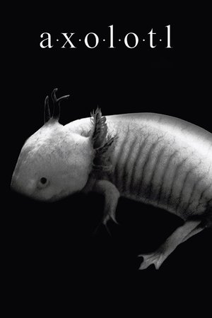 Image Axolotl