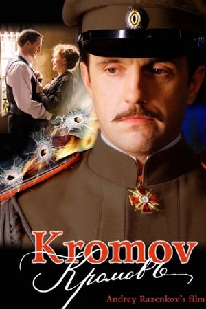 Poster Kromov 2009