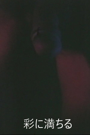 彩に満ちる