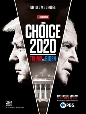 Poster Præsidentvalg 2020: Biden og Trumps valgkamp 2020