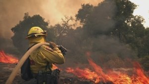 Cal Fire Mountain Of Flame