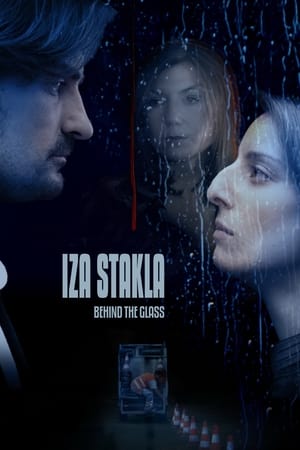 Poster Iza stakla 2008