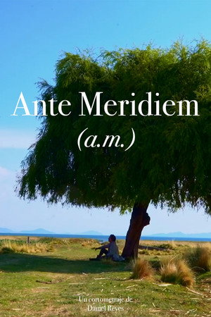 Ante Meridiem (a.m.) 3
