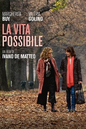 Poster La vita possibile 2016