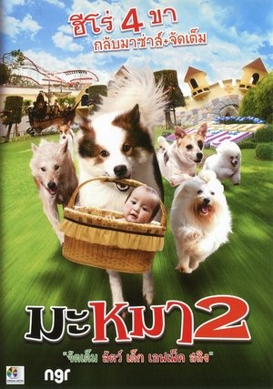 <Images posters
