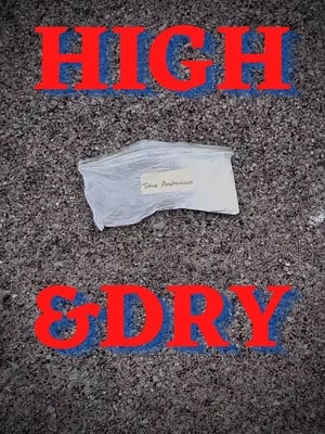 Poster High & Dry (2021)