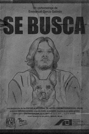Poster Se Busca 2023