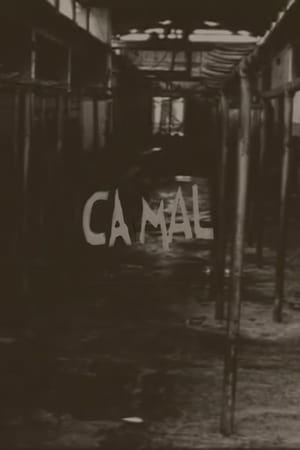 Poster Camal 2001