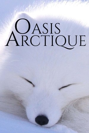 Poster Oasis Arctique (2021)