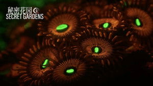 Episode 4 | StreamHub