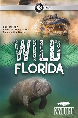 Poster Wild Florida (2020)