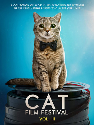 Cat Film Festival Vol. 3