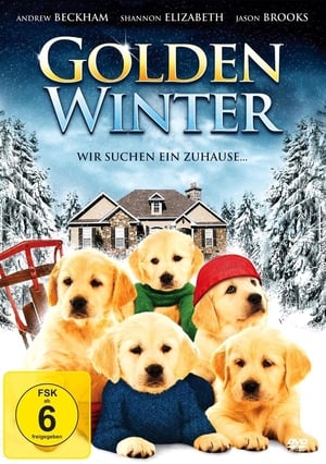 Image Golden Winter - Wir suchen ein Zuhause