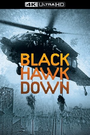 poster Black Hawk Down