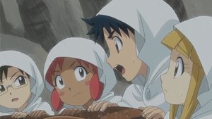 Abnormal weather survival (2)