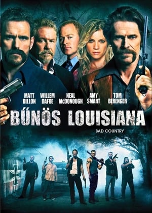 Bűnös Louisiana (2014)