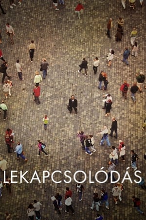 Lekapcsolódás (2013)