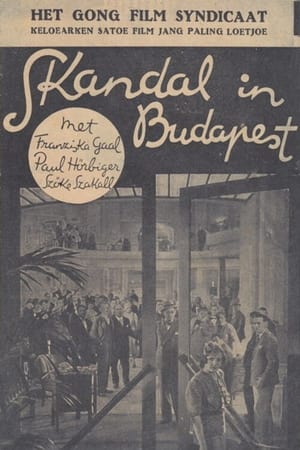 Image Skandal in Budapest