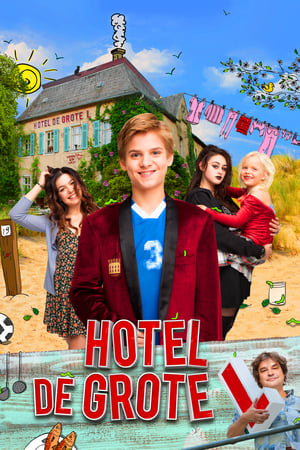 Poster Hotel de Grote L (2017)