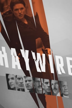 Click for trailer, plot details and rating of Haywire (2011)