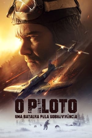 Image The Pilot: A Battle for Survival