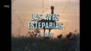 Episode 75