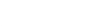 As Garotas do Ônibus: Jornalistas de Campanha