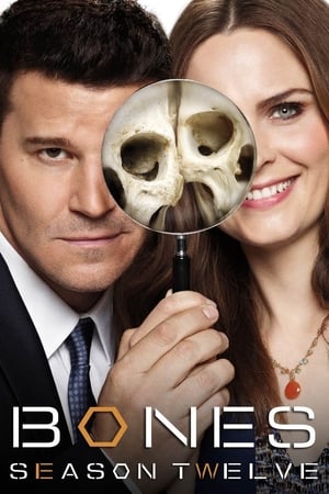 Bones: Season 12