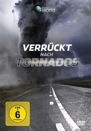 Poster Verrückt nach Tornados 2009