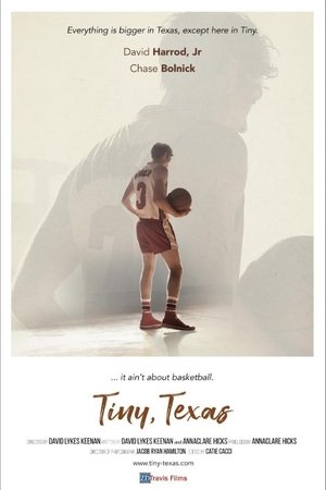 Tiny Texas