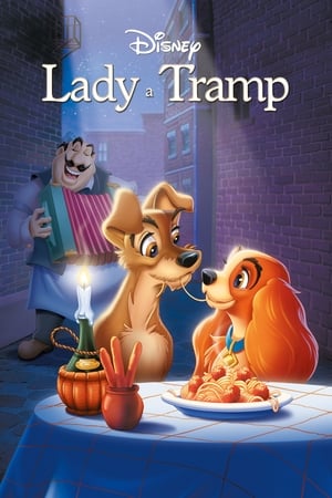 Poster Lady a Tramp 1955