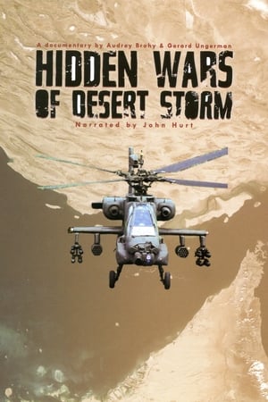 Poster The Hidden Wars of Desert Storm 2001