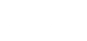 Race to Survive — Logos 2